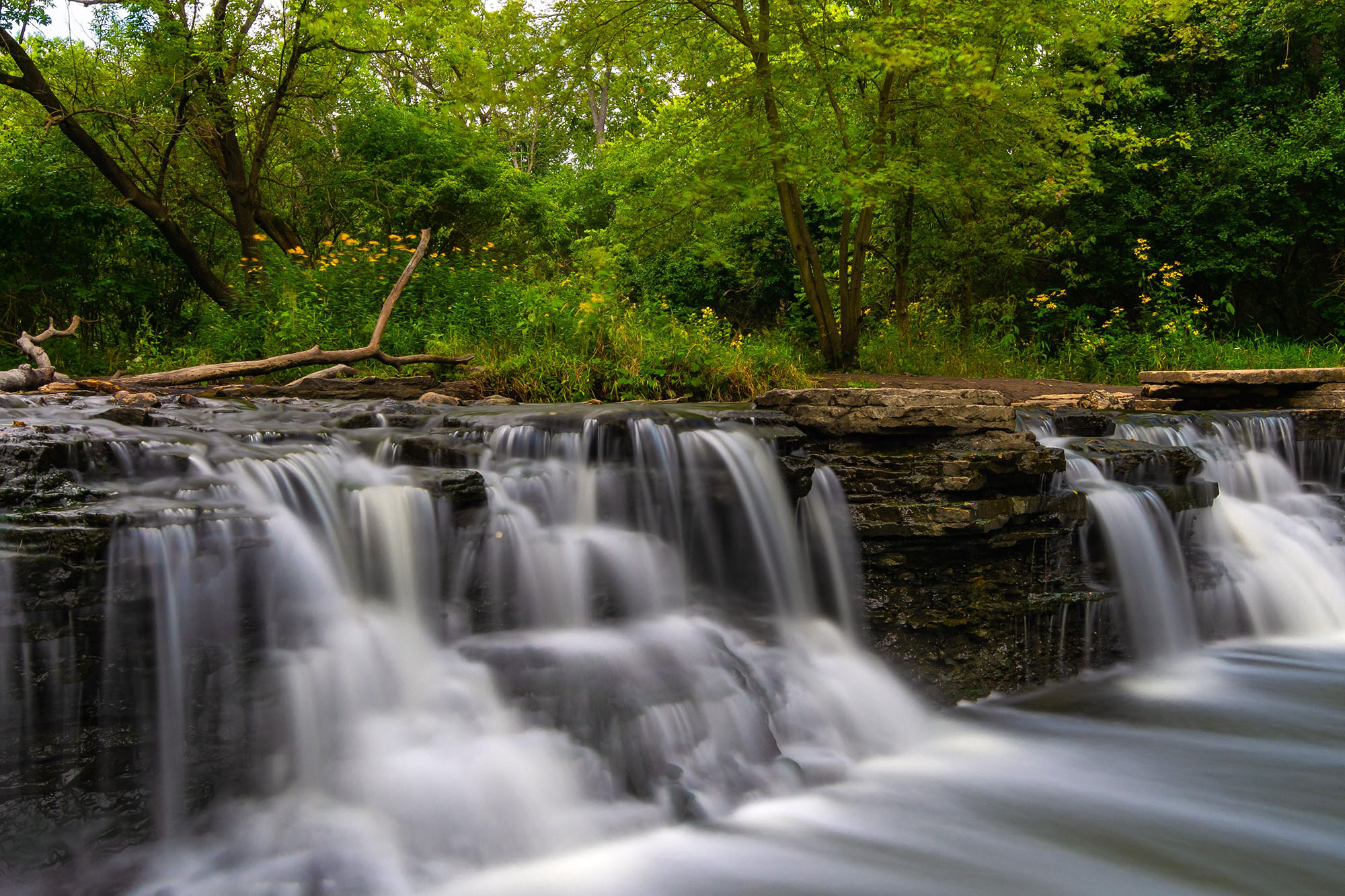 Что такое glen forest