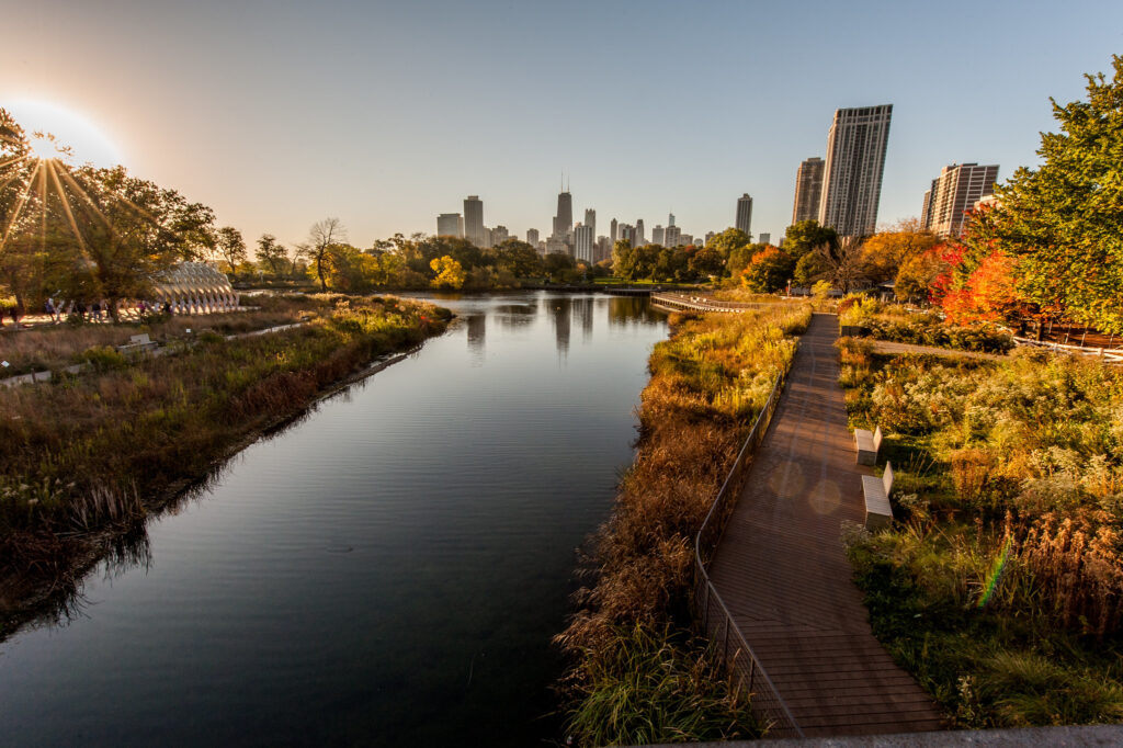 Fall foliage with vibrant autumn colors in a Chicago park