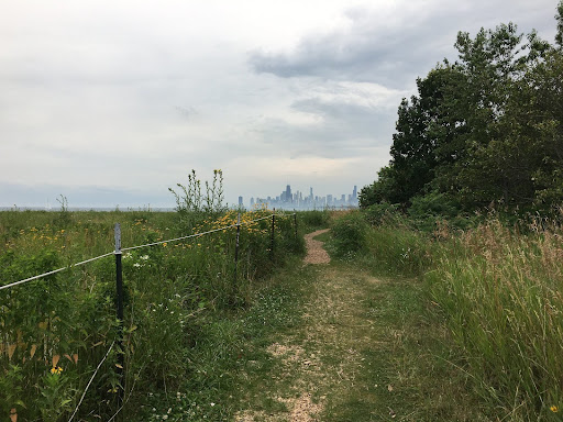 A-view-of-the-city-from-Montrose-Point