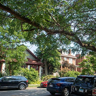 Albany Park Chicago Home Styles