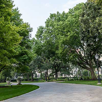 Hyde Park Chicago Home Styles