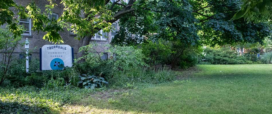 Magnolia Glen Area Chicago