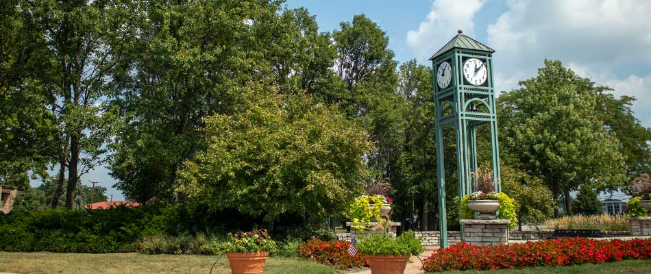 Palatine Area Chicago