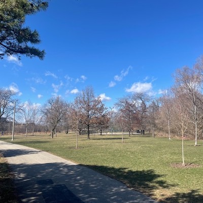Budlong Woods Chicago Legion Park Green