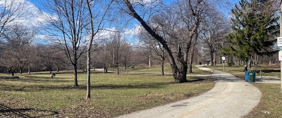 Budlong Woods Chicago Park Landscape