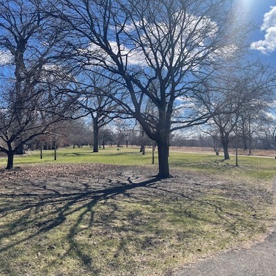 Budlong Woods Chicago Park Pathway